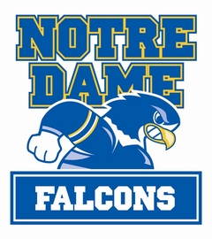 ND Falcons