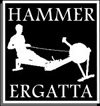 Hammer Ergatta Logo