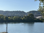 IMG 0229