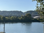 IMG 0230
