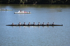 IMG 9847