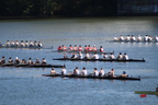 IMG 9854