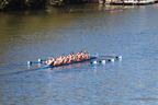 IMG 9856