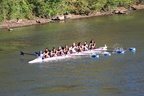 IMG 9863